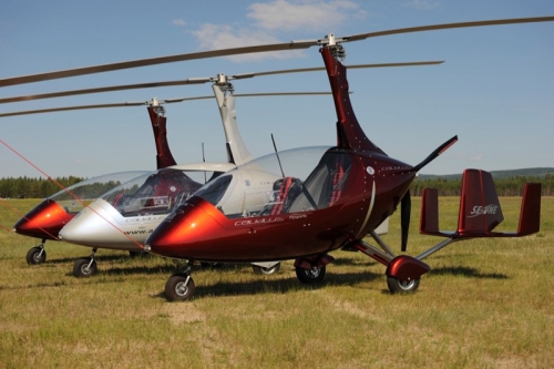 benson gyrocopter kits for sale